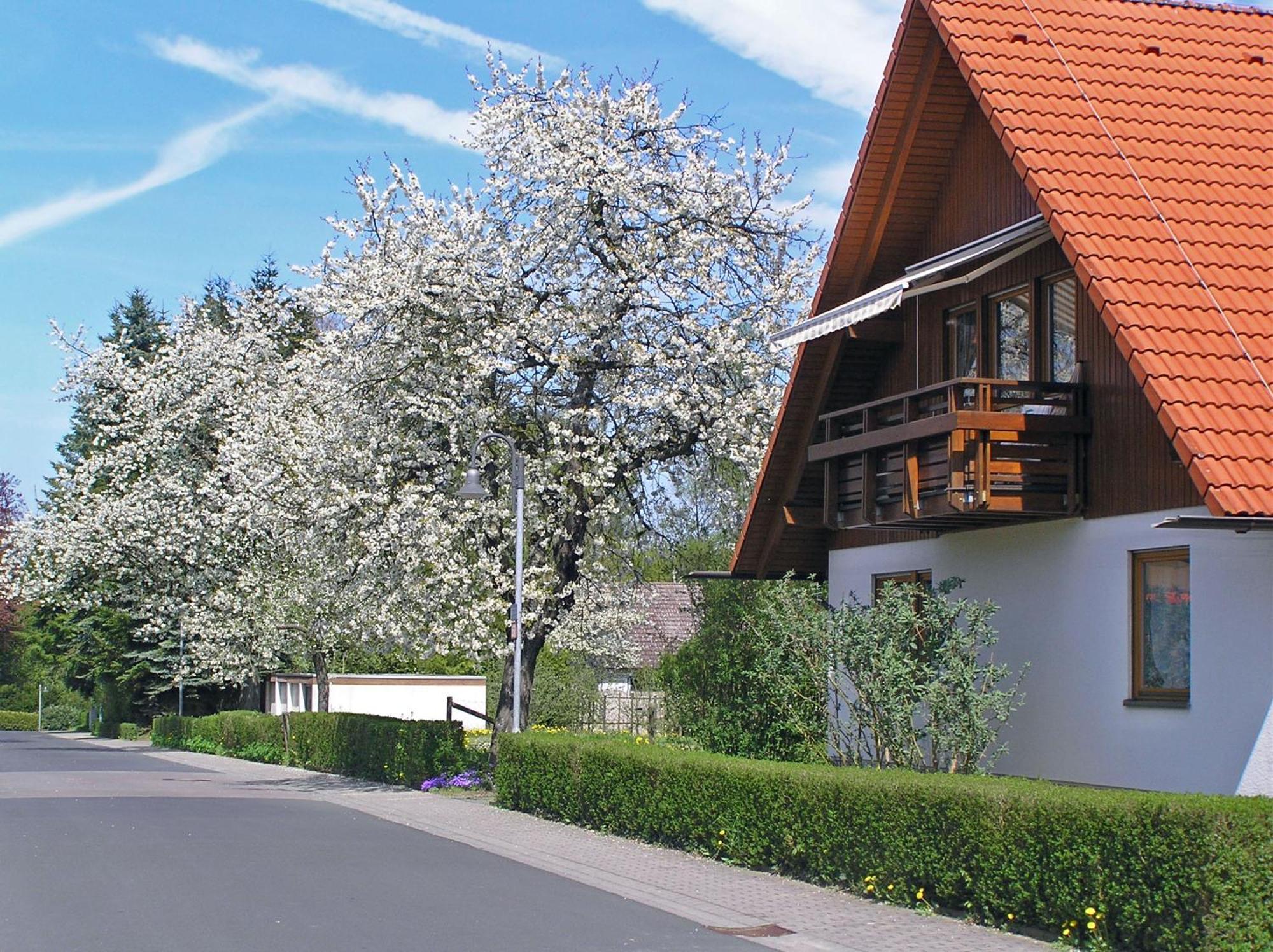 Ferienwohnung Am Schlosspark Schlitz Exteriör bild